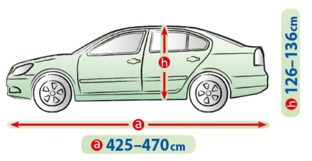505584grafik.jpg