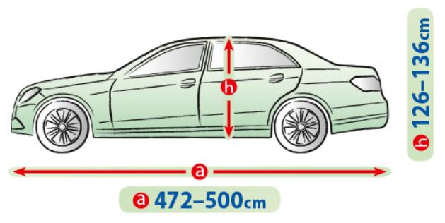 505591grafik.jpg