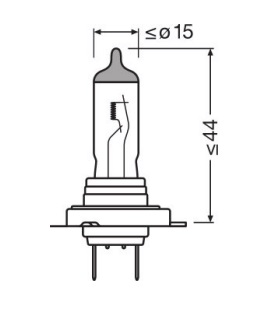 bildbirne1.jpg