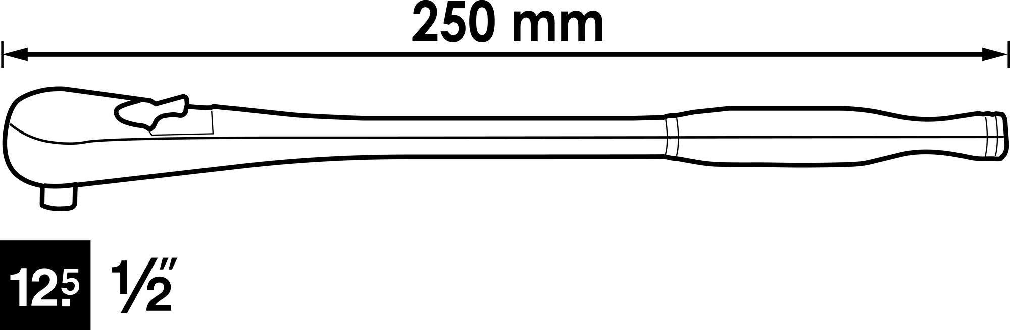 v4946-sskizze