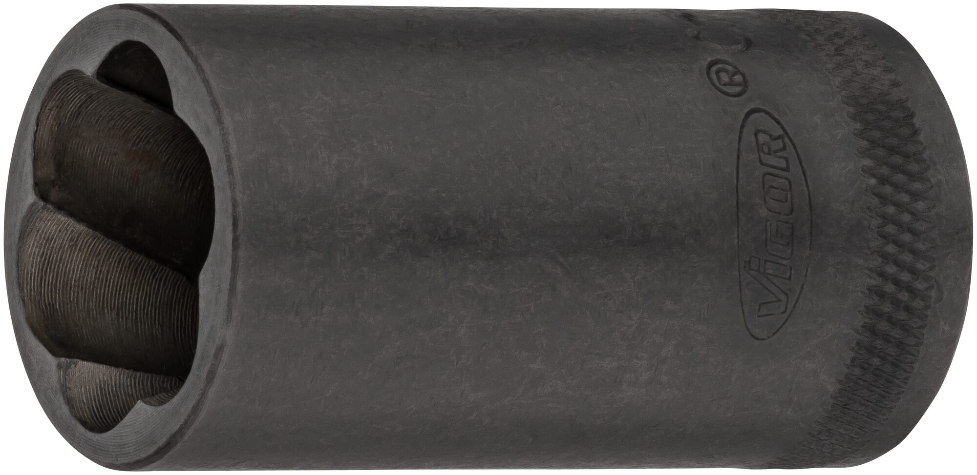 v2404n-19