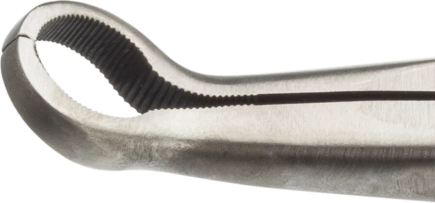 v5494detailspitze