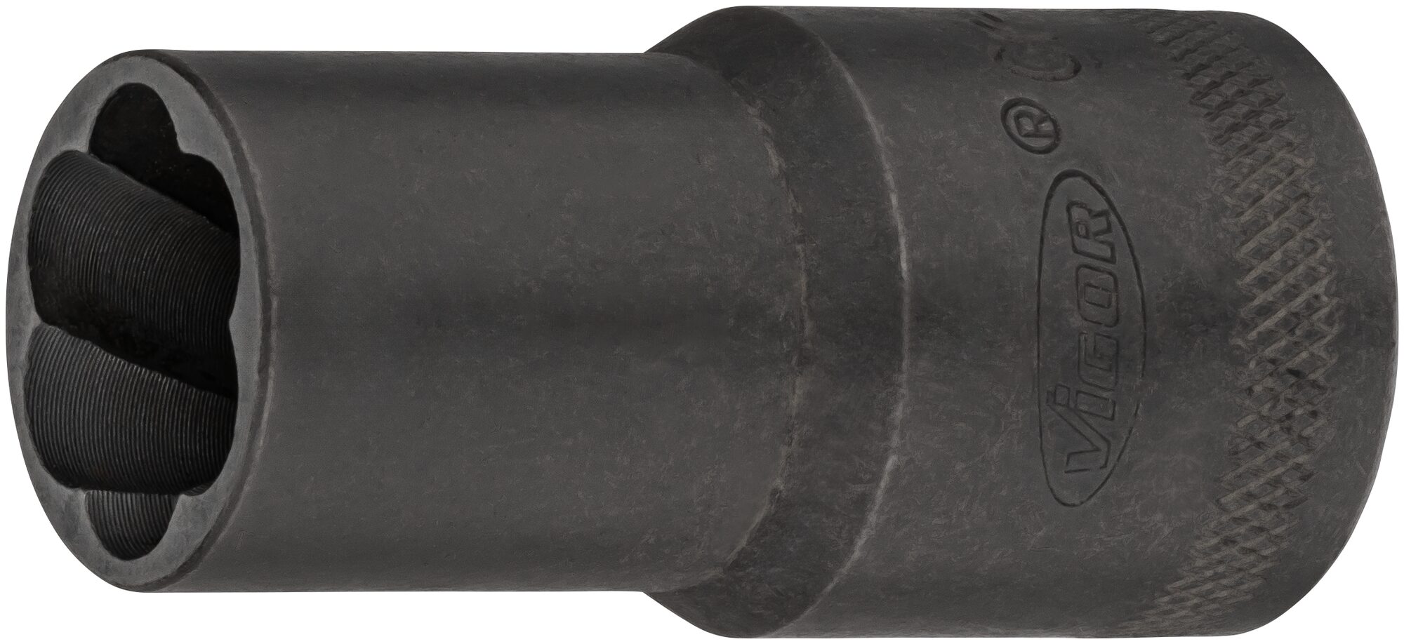 v2404n-15