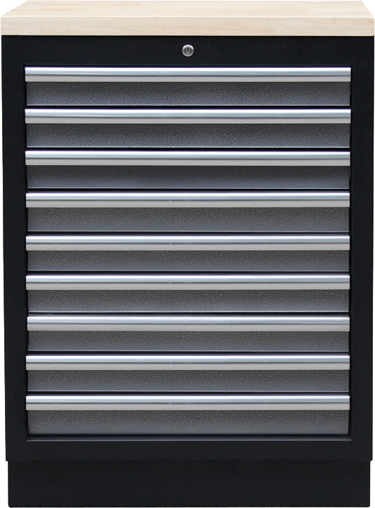 WES1309