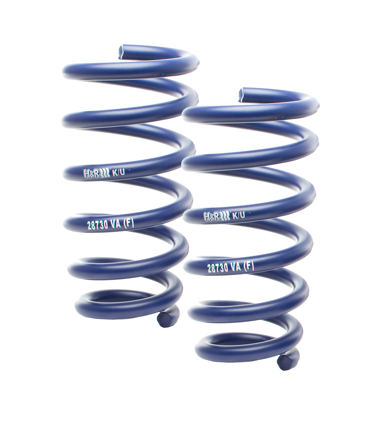 hundrtieferlegungsfedern2federn