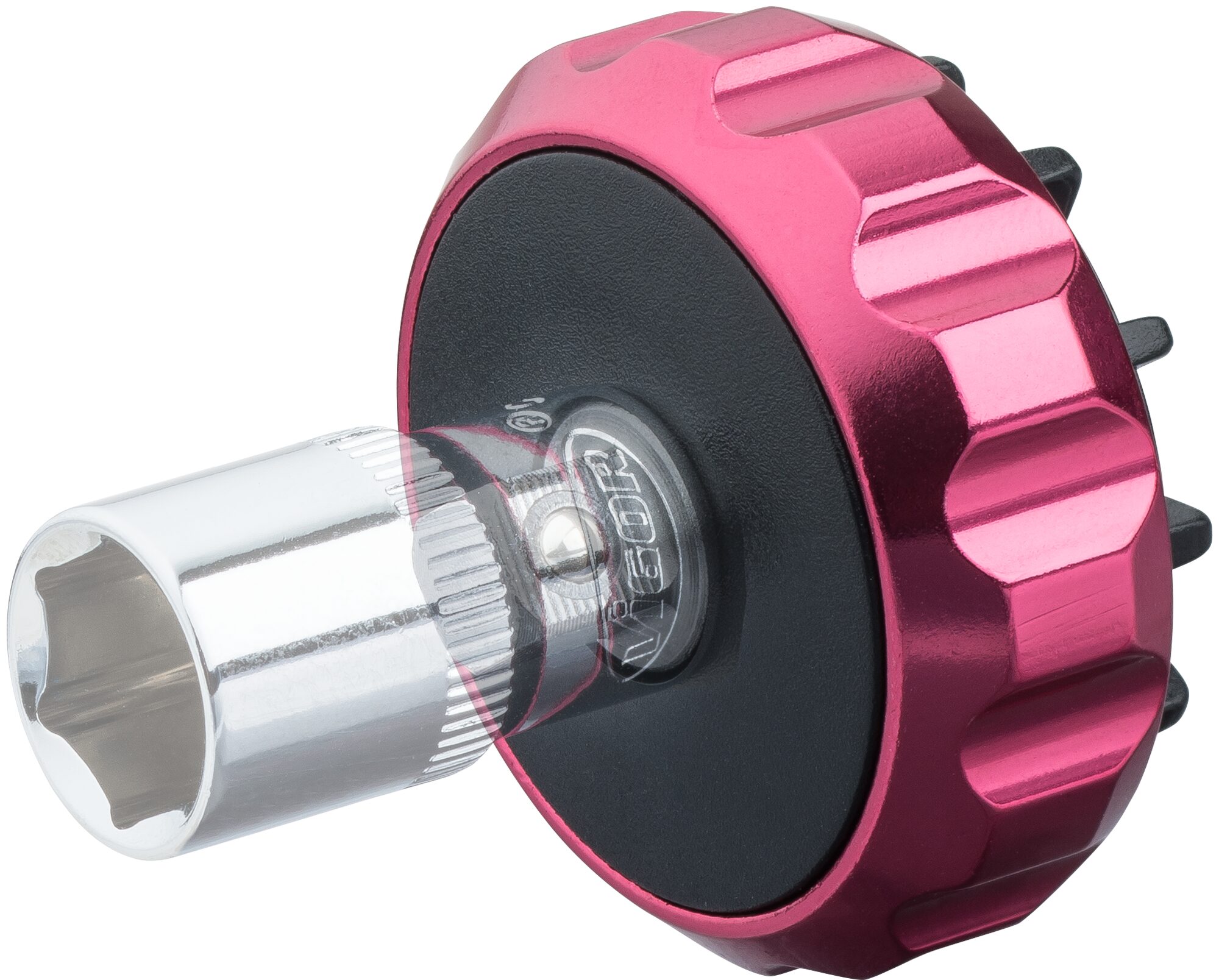 v2941detailnuss