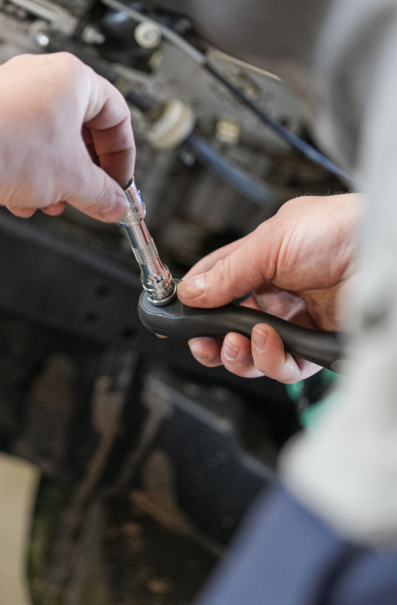 v2305n_v6038anwendunggarten4