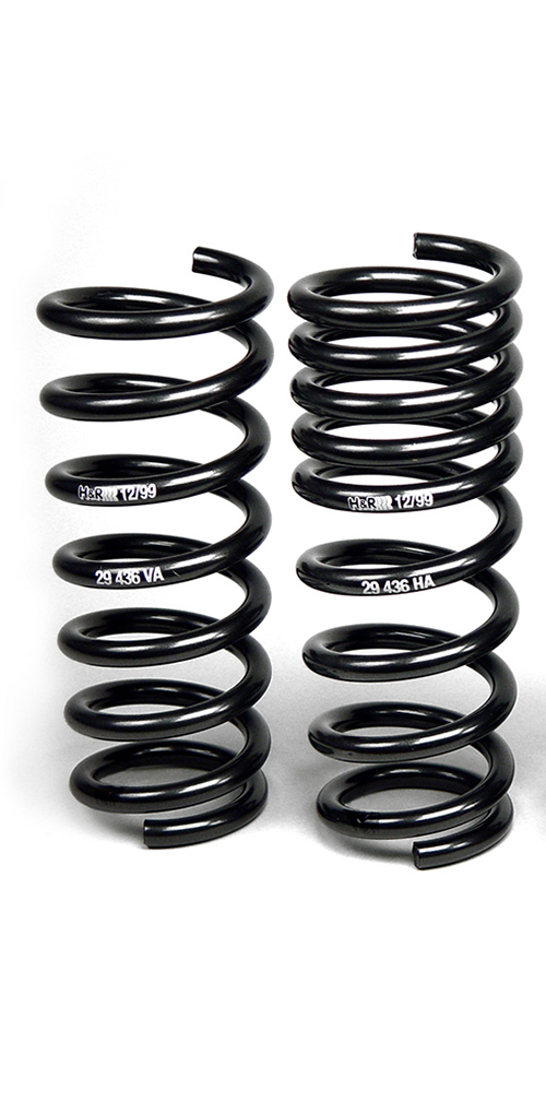 hundrhoeherlegungsfedern2stueck