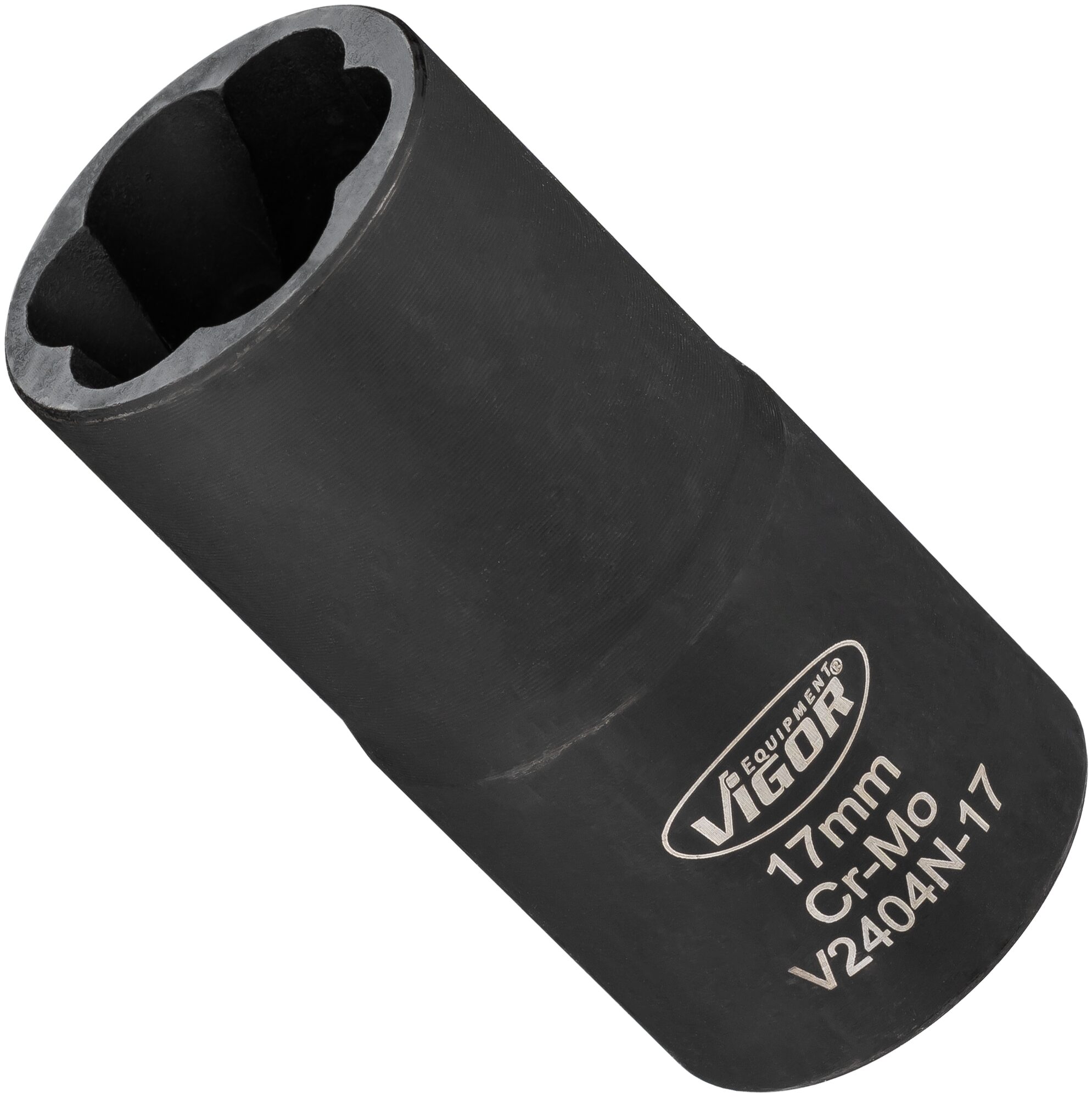 v2404n-17