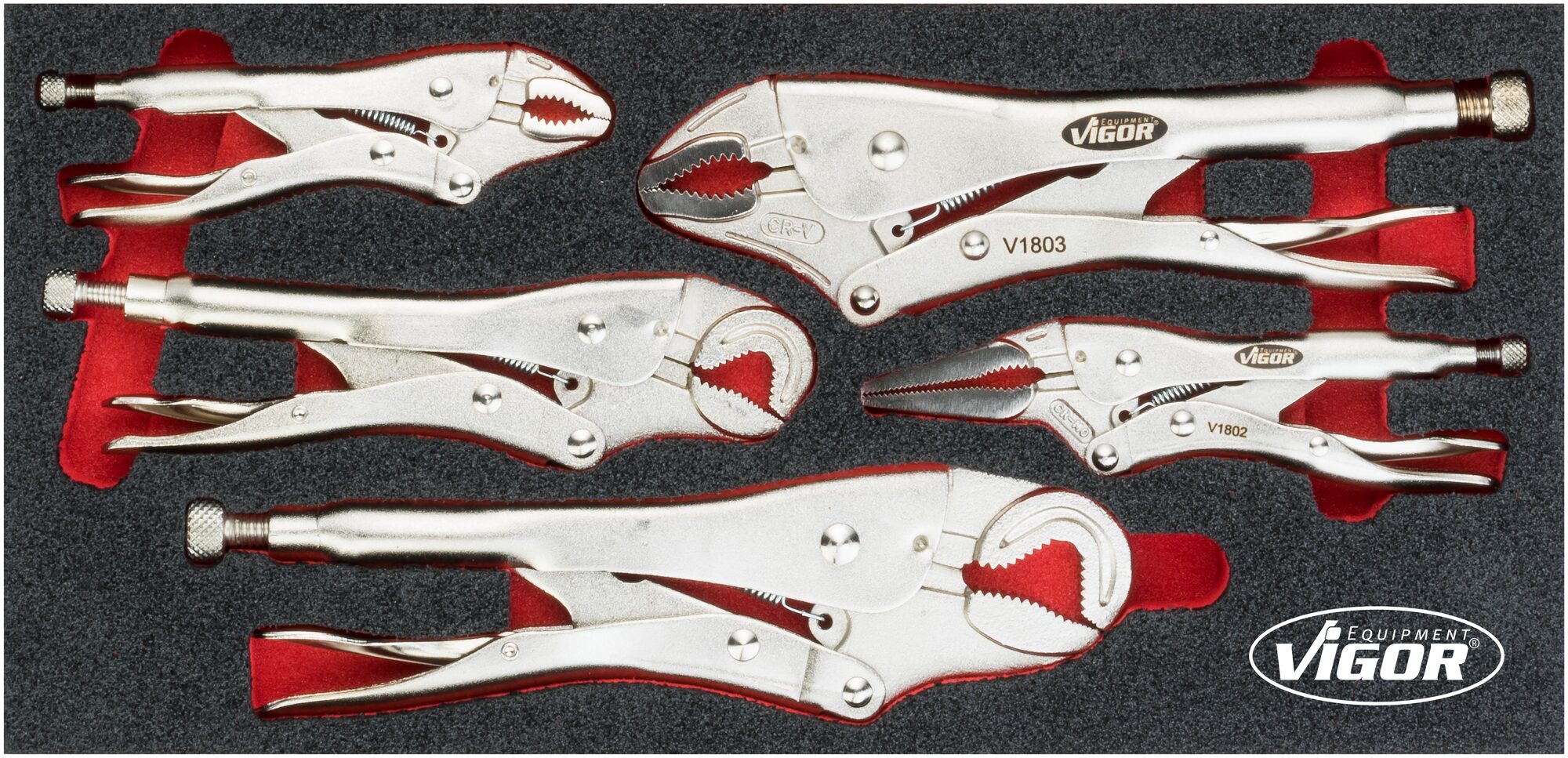 v5004