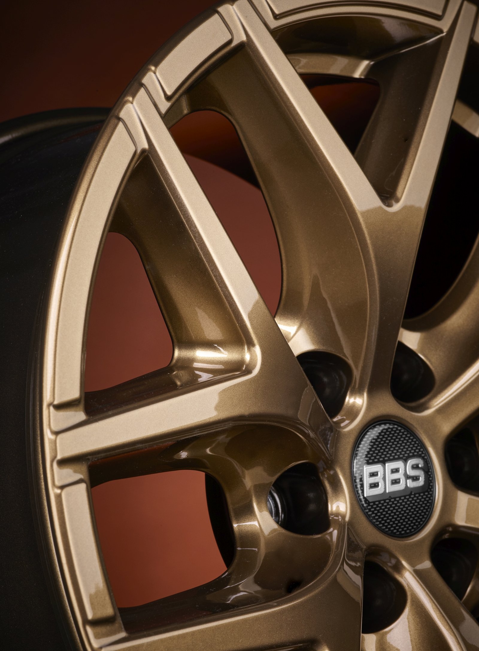 BBS-TL-A-bronze-glanz_Detail1